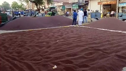 दूसरे दिन भी खरीद शुरू होने की बाट जोहते रहे किसान