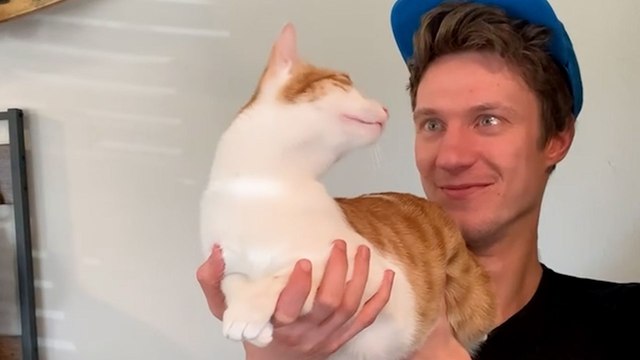Cat Stops At Nothing To Be Around His Mom's Boyfriend