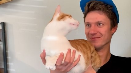 Cat Stops At Nothing To Be Around His Mom's Boyfriend