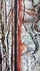 شاهد.. تصوير جوي لـ"بردية طريق الحرة" جنوب تبوك