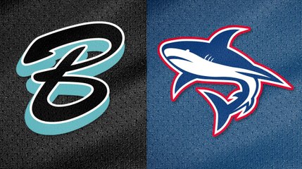 BRAVOS DE MARGARITA vs TIBURONES DE LA GUAIRA 28/10/2023