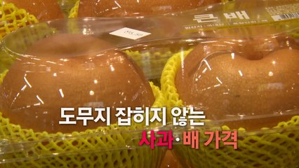[영상] "과일은 포기합니다"...'한숨 가득' 장바구니 / YTN