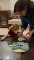 Dog Howls Along When Owner Sings for Their Birthday