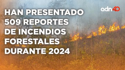 Télécharger la video: Los incendios forestales son provocados por las altas temperaturas y por el hombre