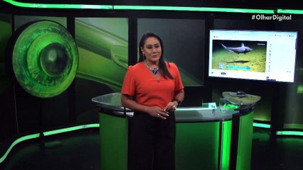 O que é esperar do eclipse solar total deste mês