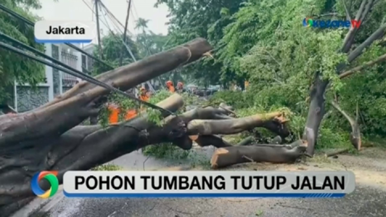 OKEZONE UPDATES: Pohon Tumbang Tutup Jalan hingga Skor Kacamata di Laga Arsenal vs Man City