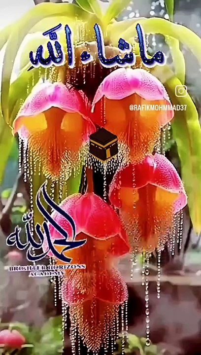 VID-20240403-WA0008