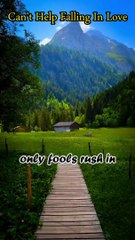 Can't Help Falling In Love