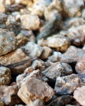 |HABIB ARIEL CORIAT HARRAR | NANOMATERIALES PARA LA REGENERACIÓN DE TEJIDOS Y ÓRGANOS (PARTE 2) (@HABIBARIELC)