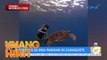 Maki-bonding kasama ang sea creatures ngayong summer! | Unang Hirit
