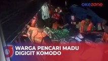 Nahas, Warga Pencari Madu Digigit Komodo di Pulau Rinca, Dievakuasi ke RS di Labuan Bajo