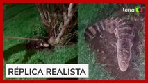 Bombeiros encontram jacaré falso ao atender chamado de resgate em Minas Gerais