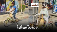 ไปไหนไปด้วย… คลิปสุดน่ารัก เจ้าตูบนั่งจักรยาน ไปร้านสะดวกซื้อกับเจ้าของ