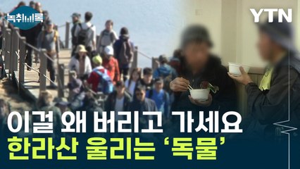 등산객 사이 입소문 나더니..."한라산 생태계 위기" [Y녹취록] / YTN
