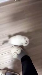 Join Me at Work! 🚀