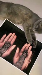 Adorable Print Design