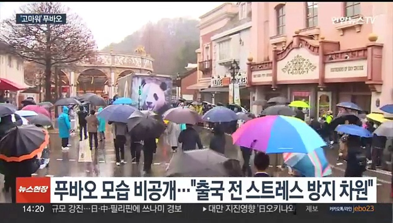 '중국 귀환' 푸바오 팬들과 작별…강철원 사육사 동행