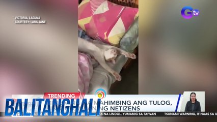 Mingming na mahimbing ang tulog, kinatutuwaan ng netizens | BT