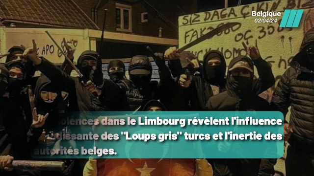 Présence des Loups gris : Les tensions politiques turques exportées