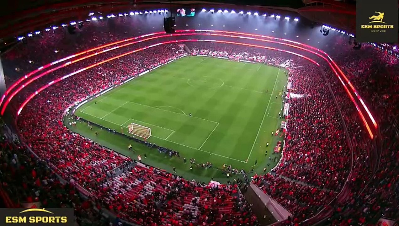 Benfica vs Sporting 2-2 Full Match Highlights 2024