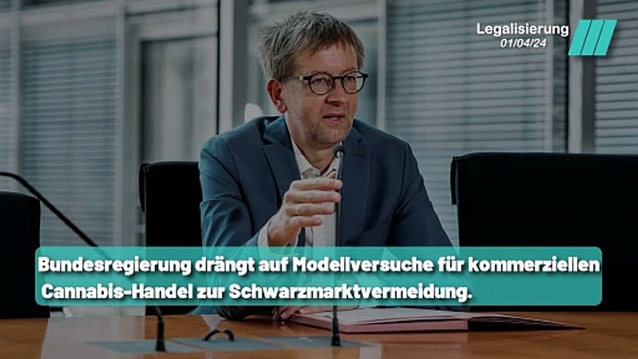 Gescheiterte Cannabis Politik: Belastung für Strafverfolgungsbehörden?