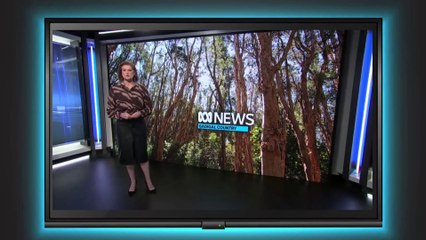 taiwan earthquake 2024 ...taiwan