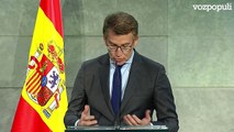 Feijóo acusa a Pedro Sánchez de usurpar la democracia