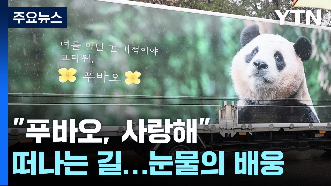 "안녕, 푸바오"...행복 선물하고 떠난 아기 판다 / YTN