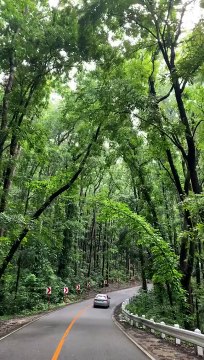 enjoy the view of nature