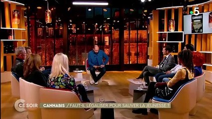 Extraits de "C ce soir" abordant la question de la pénalisation du cannabis