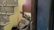 Video... सेक्टर -14 आवासीय कॉलोनी में एक मकान में घुसा पैंथर