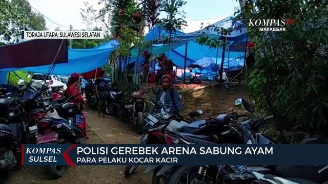 Polisi Gerebek Arena Sabung Ayam, Para Pelaku Kocar Kacir