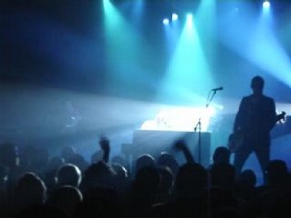 Editors - The racing rats