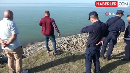 Bu inek 'Ferdinand' kadar şanslı olamadı