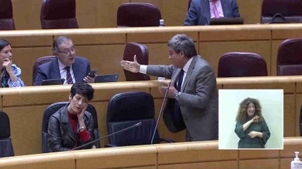 Escrivá monta un esperpéntico circo en el Senado para no responder a una pregunta del PP