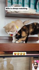 Wife is Always Watching You  #funny #comedy #funnyshorts #ShortsTrendzz