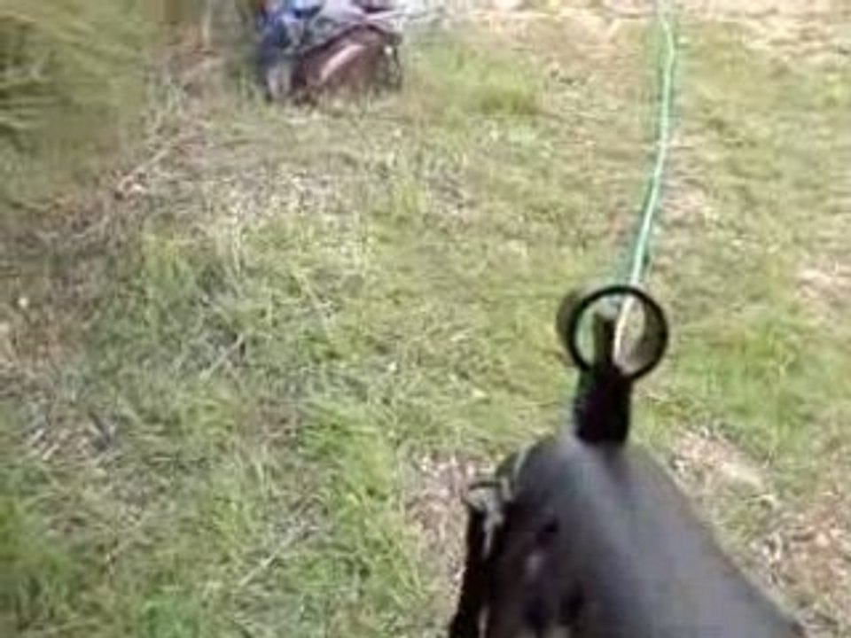 partie de airsoft du 06/04/08