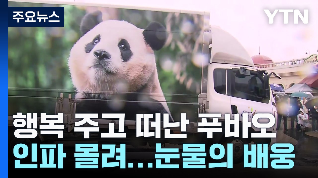 "안녕, 푸바오"...행복 선물하고 떠난 아기 판다 / YTN