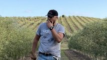 Un agricultor andaluz sortea una caja de su aceite en redes sociales y se convierte en 'trending top