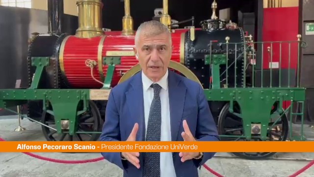 Pecoraro Scanio ”Al turismo servono ferrovie, no ponte sullo Stretto“