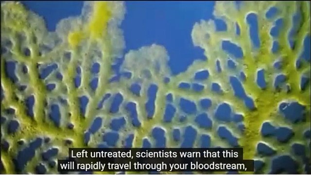 SIMPLE 7-SECOND FUNGUS VANISHING RITUAL CLEARS NAILS 3X FASTER