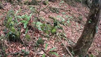 Ülkeyi Kurtaracak Defineyi Buldum Sonunda !!!