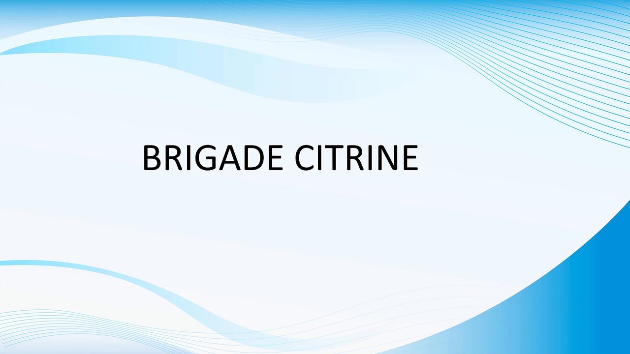 BRIGADE CITRINE