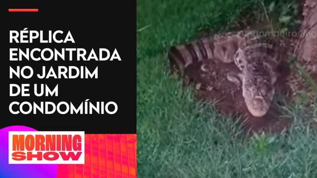 Bombeiros são acionados para captura de jacaré e encontram animal de plástico