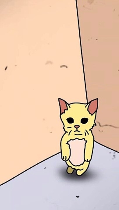 Cat dancing 