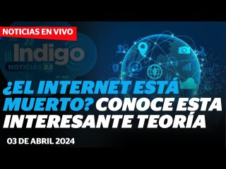 Ophelia Pastrana, ¿El internet está muerto? conoce sobre esta teoría I Reporte Indigo