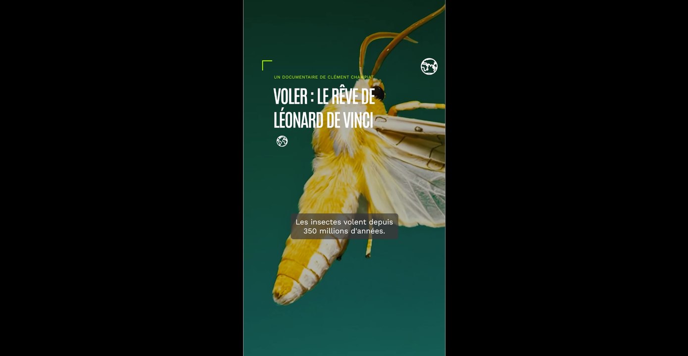 Voler sans polluer : le rêve de Léonard de Vinci appliqué à l'aviation moderne