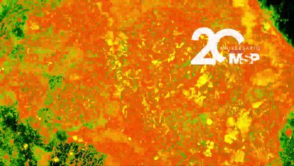 ¿Sabes Cómo Funciona el Ácido Gástrico en tu Digestión? 🔍