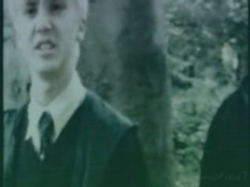 Draco/Luna