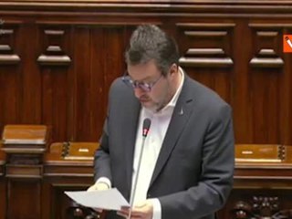 Salvini: "Avviata la procedura contro l'Austria per il Brennero"